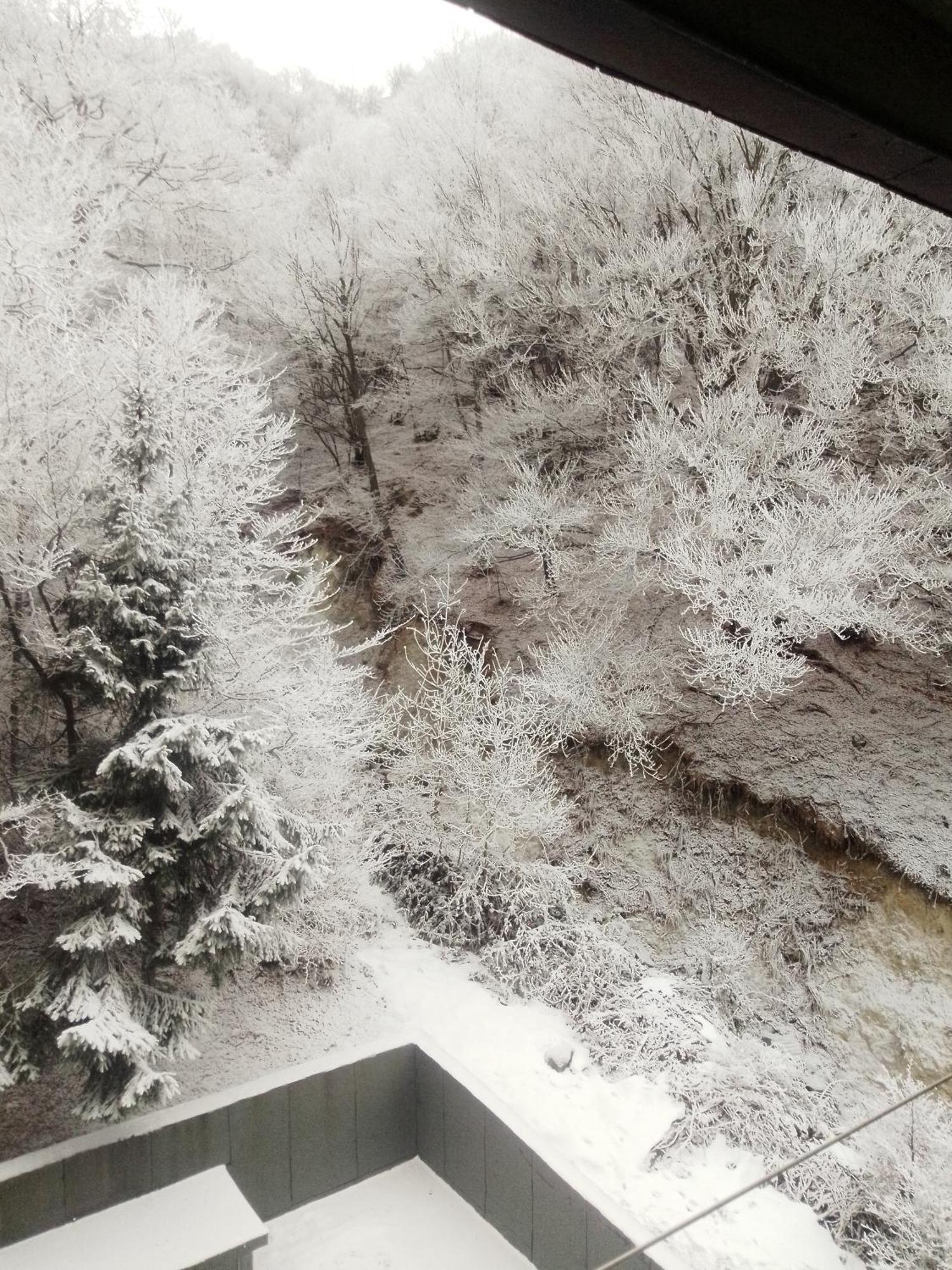Artesina 아파트 외부 사진